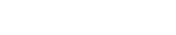 Employment Lawyer